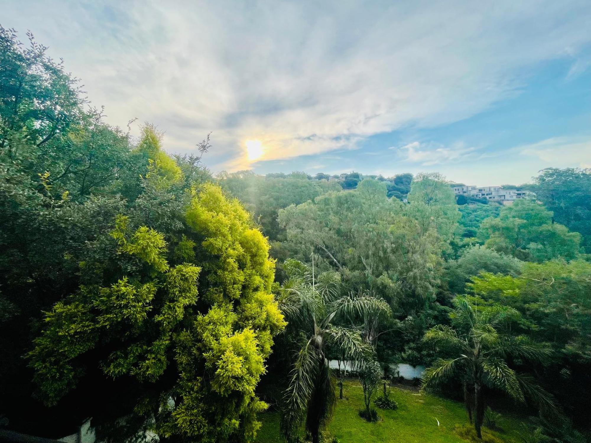 Pretoria Mansion Boutique Hotel Coral Tree Exterior foto